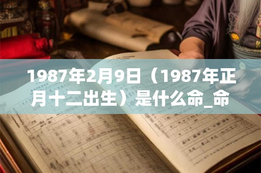 1987年2月9日（1987年正月十二出生）是什么命_命运如何
