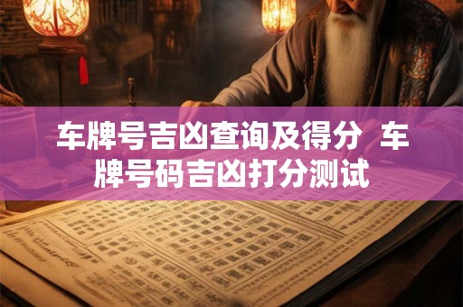 车牌号吉凶查询及得分  车牌号码吉凶打分测试