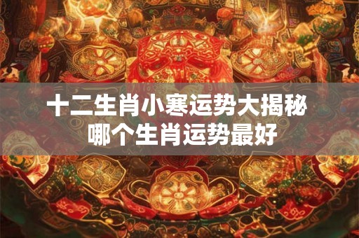 十二生肖小寒运势大揭秘  哪个生肖运势最好