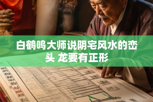 白鹤鸣大师说阴宅风水的峦头 龙要有正形