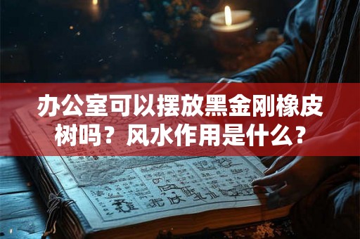 办公室可以摆放黑金刚橡皮树吗？风水作用是什么？