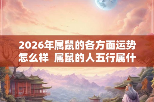 2026年属鼠的各方面运势怎么样  属鼠的人五行属什么