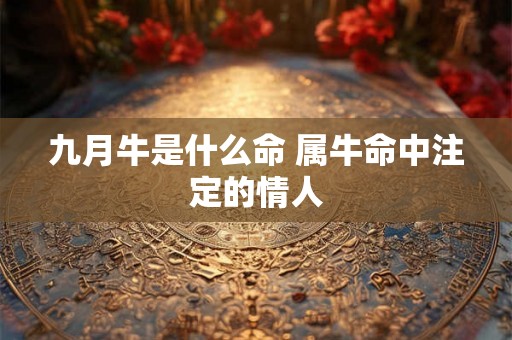 九月牛是什么命 属牛命中注定的情人 九月牛是什么命 属牛命中注定的情人