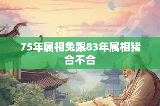75年属相兔跟83年属相猪合不合