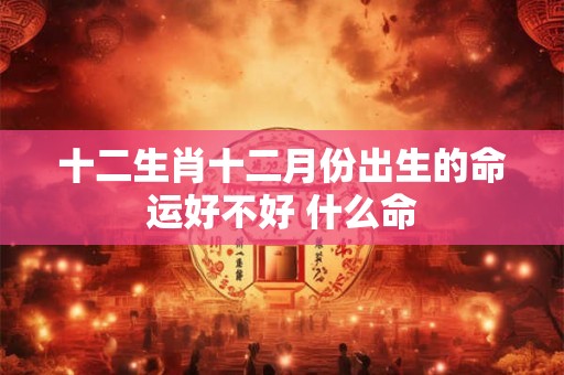 十二生肖十二月份出生的命运好不好 什么命 十二生肖十二月份出生的命运好不好 什么命