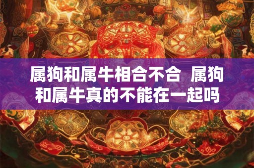属狗和属牛相合不合  属狗和属牛真的不能在一起吗