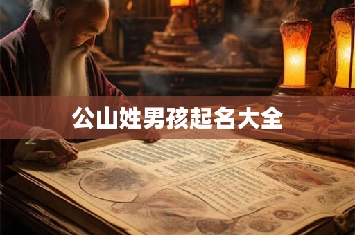 公山姓男孩起名大全