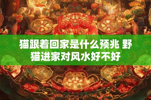 猫跟着回家是什么预兆 野猫进家对风水好不好