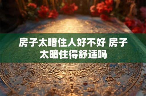 房子太暗住人好不好 房子太暗住得舒适吗