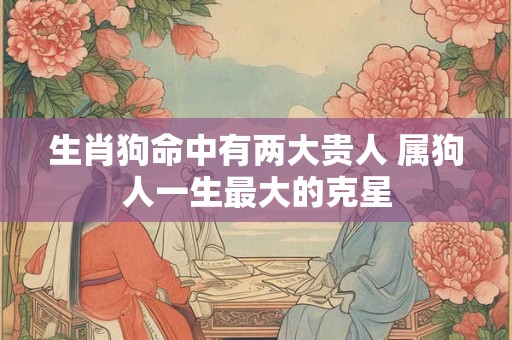 生肖狗命中有两大贵人 属狗人一生最大的克星