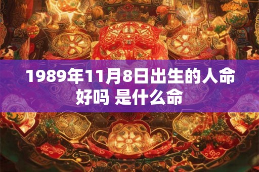 1989年11月8日出生的人命好吗 是什么命