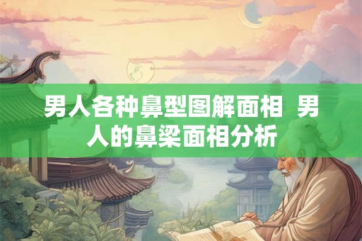 男人各种鼻型图解面相  男人的鼻梁面相分析