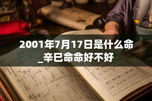 2001年7月17日是什么命_辛巳命命好不好