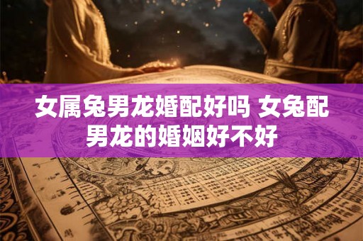 女属兔男龙婚配好吗 女兔配男龙的婚姻好不好