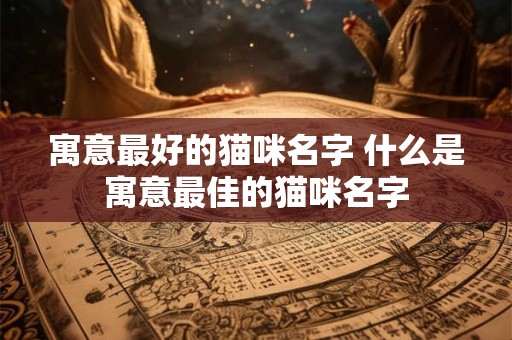 寓意最好的猫咪名字 什么是寓意最佳的猫咪名字