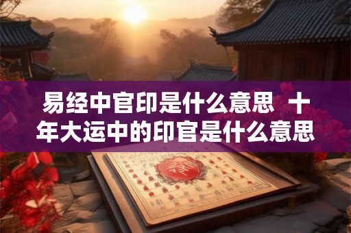 易经中官印是什么意思  十年大运中的印官是什么意思