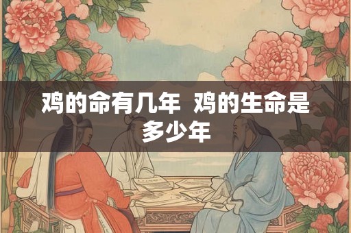 鸡的命有几年  鸡的生命是多少年