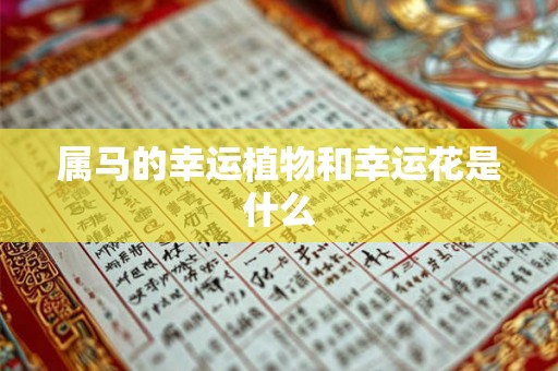 属马的幸运植物和幸运花是什么