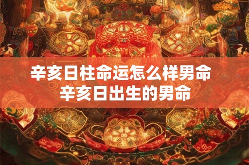 辛亥日柱命运怎么样男命 辛亥日出生的男命 辛亥日柱命运怎么样男命 辛亥日出生的男命