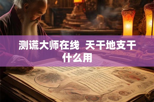 测谎大师在线  天干地支干什么用
