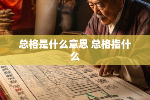 总格是什么意思 总格指什么
