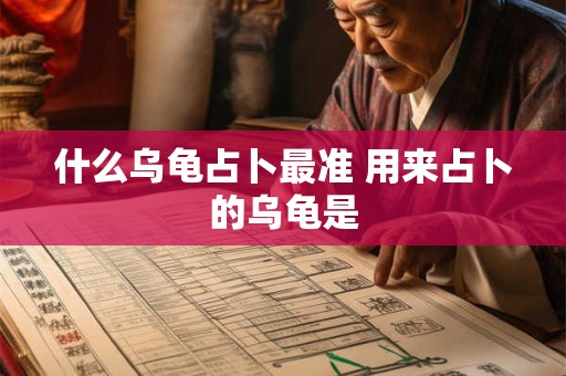 什么乌龟占卜最准 用来占卜的乌龟是