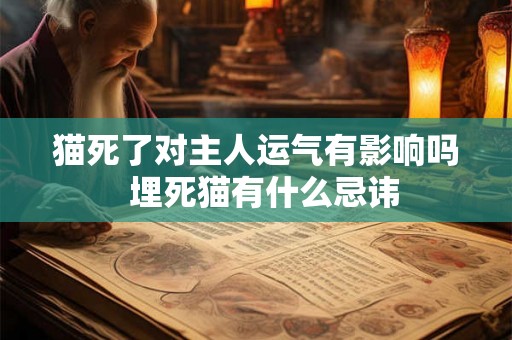 猫死了对主人运气有影响吗  埋死猫有什么忌讳
