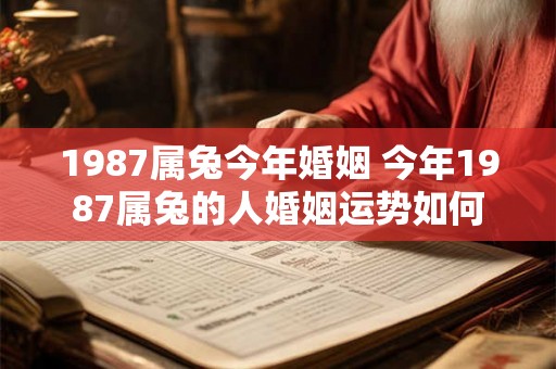 1987属兔今年婚姻 今年1987属兔的人婚姻运势如何