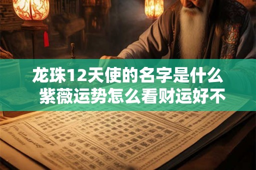 龙珠12天使的名字是什么 紫薇运势怎么看财运好不好呢女人 龙珠12天使的名字是什么 紫薇运势怎么看财运好不好呢女人