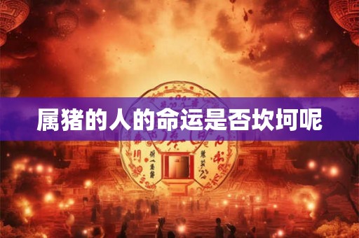 属猪的人的命运是否坎坷呢