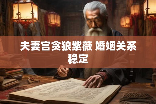 夫妻宫贪狼紫薇 婚姻关系稳定