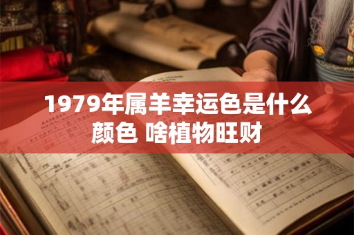 1979年属羊幸运色是什么颜色 啥植物旺财