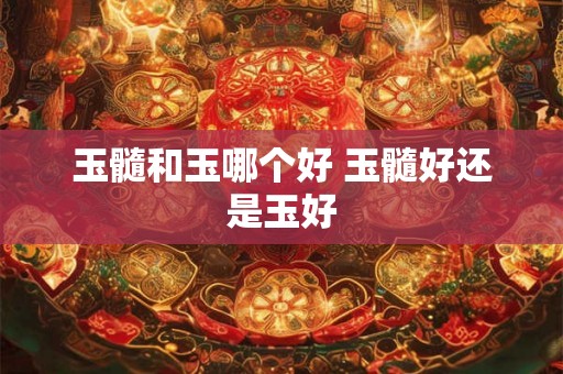 玉髓和玉哪个好 玉髓好还是玉好