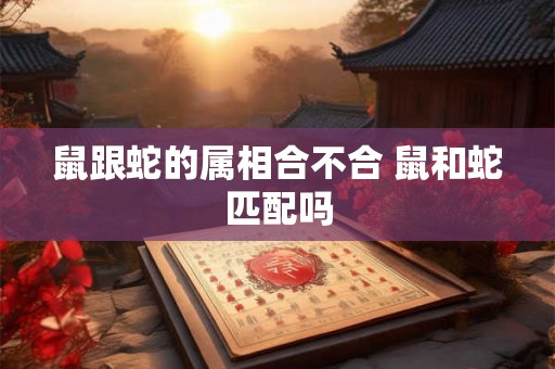 鼠跟蛇的属相合不合 鼠和蛇匹配吗