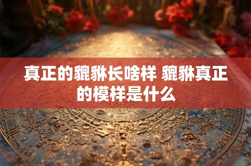 真正的貔貅长啥样 貔貅真正的模样是什么 真正的貔貅长啥样 貔貅真正的模样是什么