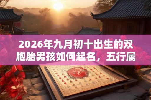 2026年九月初十出生的双胞胎男孩如何起名,五行属什么 2026年九月初十出生的双胞胎男孩如何起名,五行属什么