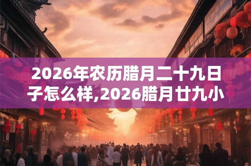 2026年农历腊月二十九日子怎么样,2026腊月廿九小除夕