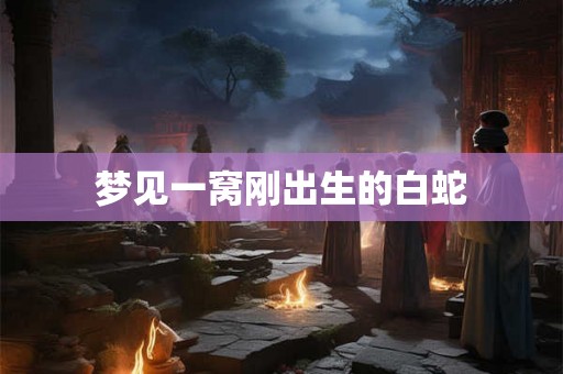 梦见一窝刚出生的白蛇 梦见一窝刚出生的白蛇