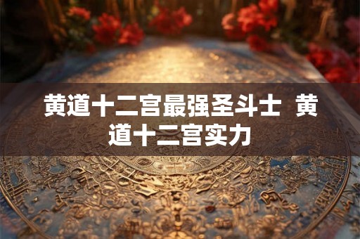 黄道十二宫最强圣斗士  黄道十二宫实力