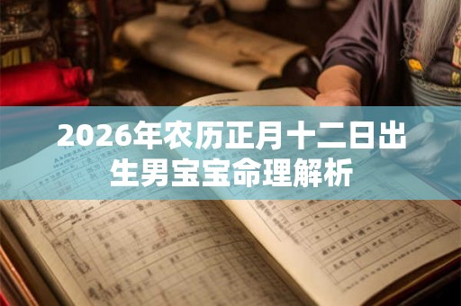 2026年农历正月十二日出生男宝宝命理解析