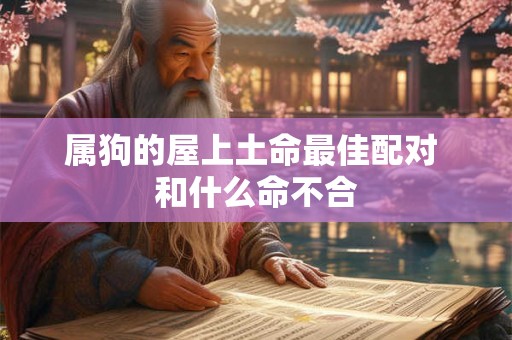 属狗的屋上土命最佳配对 和什么命不合