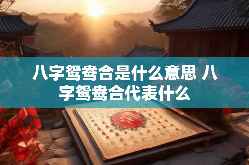 八字鸳鸯合是什么意思 八字鸳鸯合代表什么