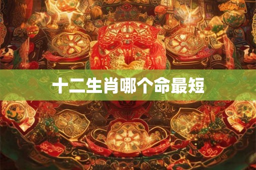 十二生肖哪个命最短