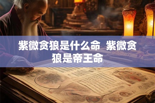 紫微贪狼是什么命  紫微贪狼是帝王命