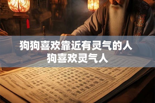 狗狗喜欢靠近有灵气的人 狗喜欢灵气人