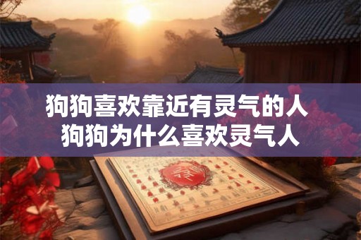 狗狗喜欢靠近有灵气的人 狗狗为什么喜欢灵气人