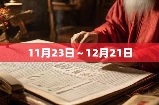 11月23日～12月21日