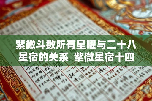 紫微斗数所有星曜与二十八星宿的关系  紫微星宿十四主星
