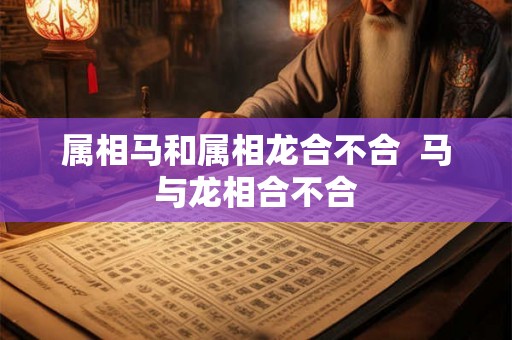 属相马和属相龙合不合  马与龙相合不合