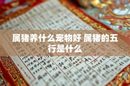 属猪养什么宠物好 属猪的五行是什么